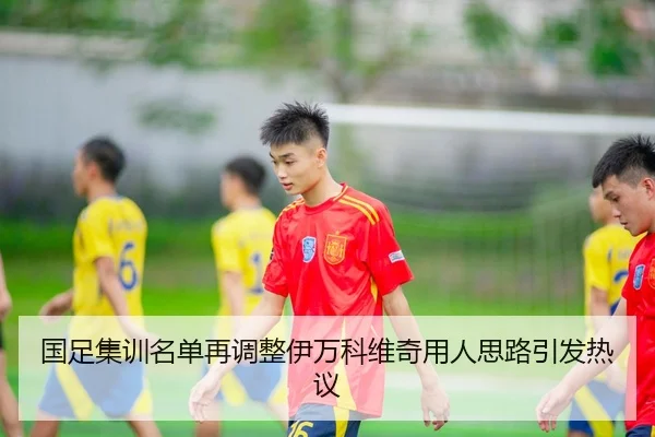 国足集训名单再调整伊万科维奇用人思路引发热议